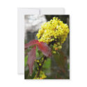 Yellow Flower invitations