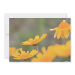 Yellow Flower Invitations
