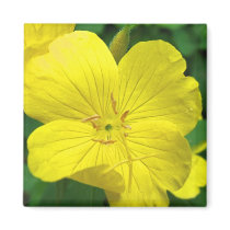 Yellow Flower Magnets