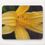 yellow flower