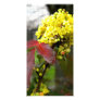 Yellow Flower Photo Cards