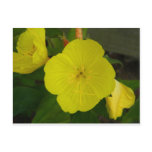 Yellow Flower Post Card