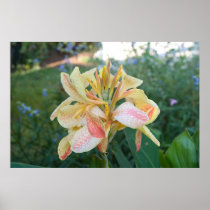 Yellow flower. posters