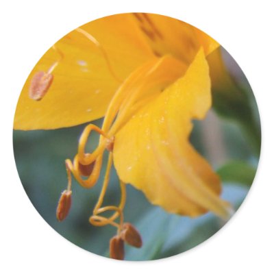 Yellow Flower Seed Stickers by emele1