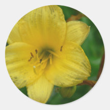 Yellow Flower Sticker
