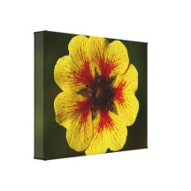 Yellow Flower  Wrapped Canvas Gallery Wrapped Canvas