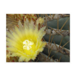 Yellow Flowering Cactus postcards