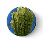 Yellow Flowering Succulent flowers buttons