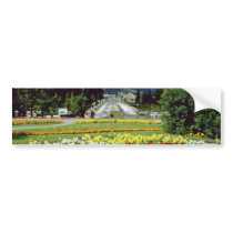 Yellow Flowers, Banff Avenue, Banff, Alberta flowe Bumper Stickers
