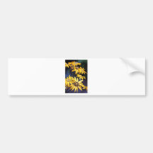 Yellow flowers bumper sticker