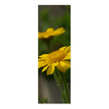 Yellow Flowers Business Card Templates