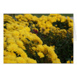 Yellow Flowers Greeting Card