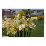 Yellow Flowers Card