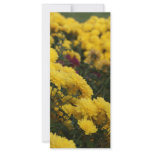 Yellow Flowers Custom Rack Card