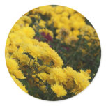 Yellow Flowers Round Sticker