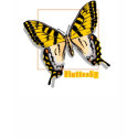 Yellow Flutterby t-shirts
