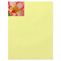 Yellow Flyers Red White Pink Flyer Designer Sheets