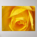 Yellow Folds posters