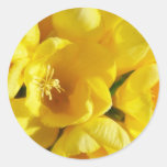 Yellow Freesia Round Sticker