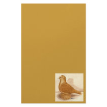 Yellow Frillback Pigeon Custom Stationery