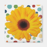 Yellow Gerber Daisy Magnets