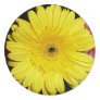 Yellow Gerber Daisy Sticker