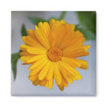 Yellow Gerbera Daisy Bright And Beautiful Flowers magnets