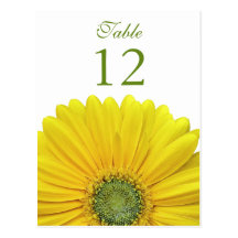 Yellow Gerbera Daisy Table Number Card Postcards