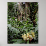 Yellow Ginger and Philodendron Vines Poster