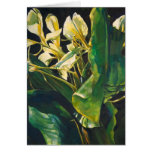 Yellow Ginger cards