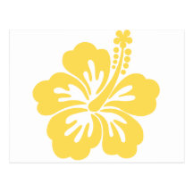 yellow hibiscus flower 11 postcard