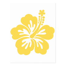 yellow hibiscus flower 11 postcard