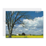 yellow Humberside, oil-seed rape field in flower, invitations