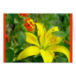 Yellow Hybrid Lilly Greeting Card
