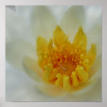 Yellow in a Sea of White Poster