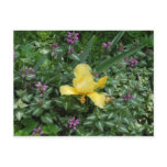 YELLOW IRIS POSTCARD