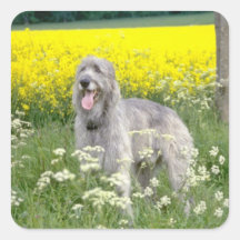 yellow Irish wolfhound flowers Sticker