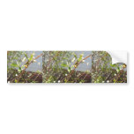 Yellow Jacket And Aphids On Flowery White Bush bumper stickers