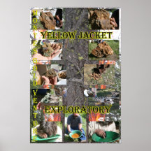Yellow Jacket Exploratory Print