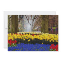 yellow Keukenhof gardens, Amsterdam, Netherlands f Custom Invitation