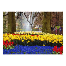 yellow Keukenhof gardens, Amsterdam, Netherlands f Custom Invitation