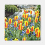 yellow Keukenhof Gardens, Holland flowers Fridge Magnets