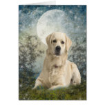 yellow lab against moon