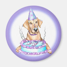 Yellow Lab Cake Face Birthday Fridge Magnet