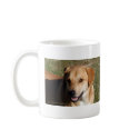 Yellow Lab Dog mugs