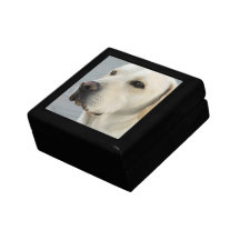 Yellow Lab Gift Box