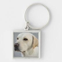 Yellow Lab Keychain