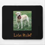 Yellow Lab, Labs Rule! Mouse Mat