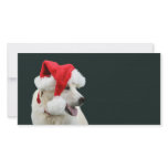 Yellow lab Santa Claus Photo Greeting Card