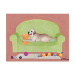 Yellow Labrador on the green couch postcards